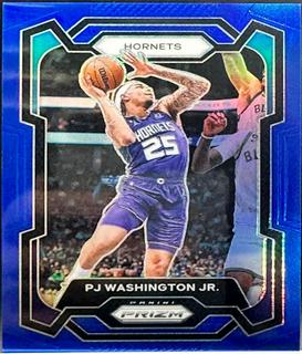 PJ Washington Jr.