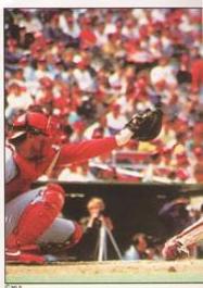 Phillies Team Leaders