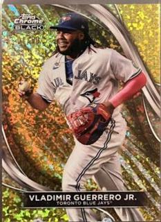 Vladimir Guerrero Jr.