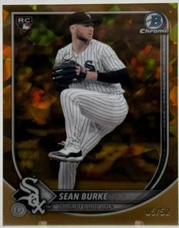 Sean Burke