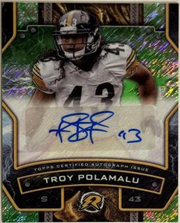 Troy Polamalu