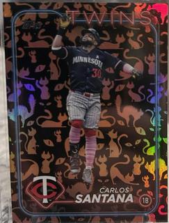 Carlos Santana