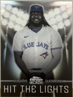 Vladimir Guerrero Jr.