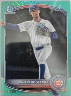 Wilfri De La Cruz