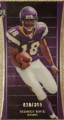 Sidney Rice #117