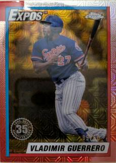 Vladimir Guerrero