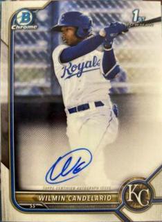 Wilmin Candelario