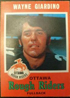 Wayne Giardino