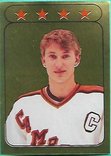 Wayne Gretzky #120 1985 O Pee Chee Sticker Hockey