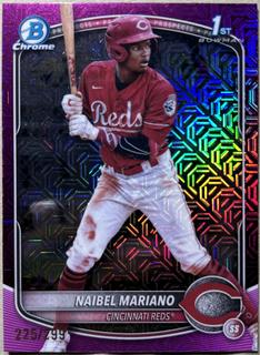 Naibel Mariano