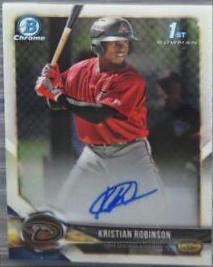 Kristian Robinson