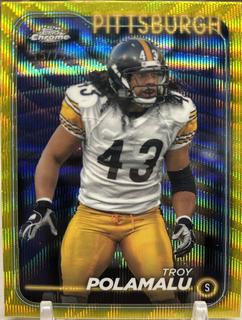 Troy Polamalu