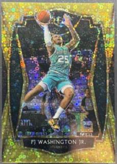 PJ Washington Jr.