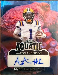 Aaron Anderson