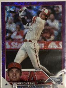 Shohei Ohtani