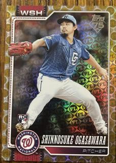 Shinnosuke Ogasawara