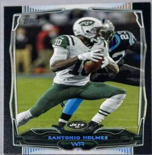 Santonio Holmes