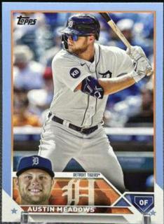 Austin Meadows