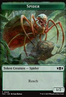 Spider // Bird