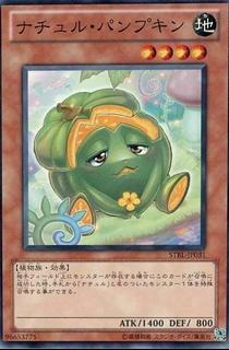 Naturia Pumpkin STBL-JP031