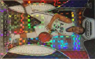 Tremont Waters