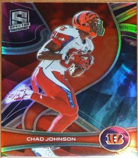 Chad Johnson
