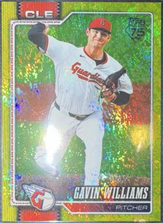Gavin Williams