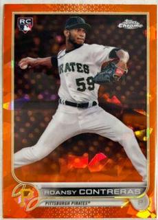 Roansy Contreras