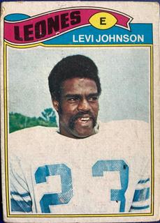 Levi Johnson