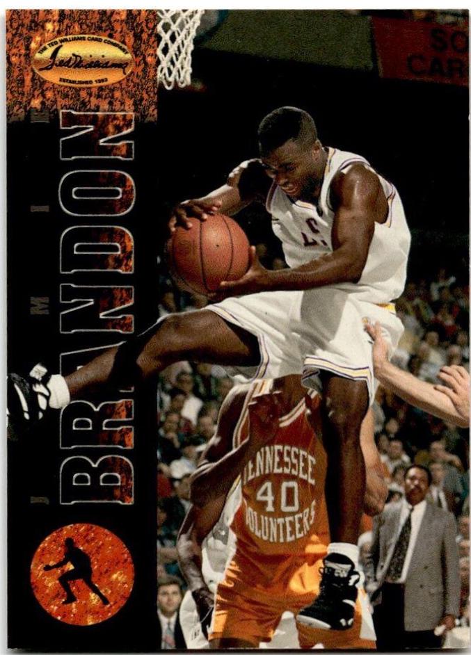 Jamie Brandon #7 Basketball Cards 1994 Classic Ted Williams