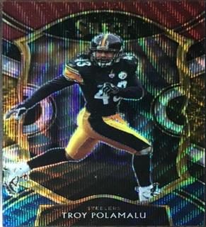 Troy Polamalu