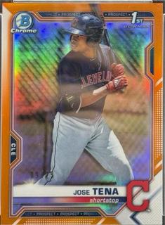 Jose Tena
