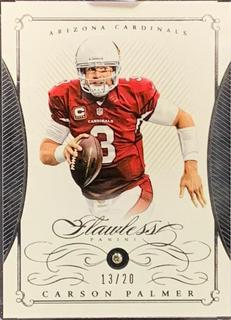 Carson Palmer