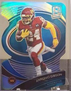 Antonio Gibson