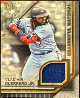 Vladimir Guerrero Jr.