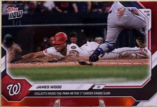 James Wood
