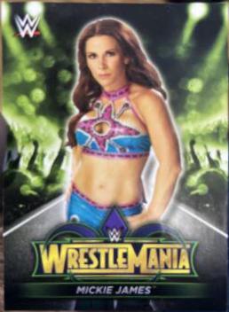 Mickie James #R-32 Wrestling Cards 2018 Topps WWE Road To Wrestlemania 34 Roster