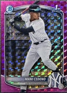 Mani Cedeno