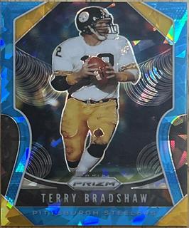 Terry Bradshaw