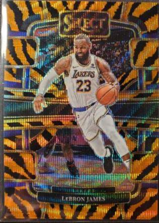LeBron James [Tiger Prizm] #66 Prices | 2023 Panini Select
