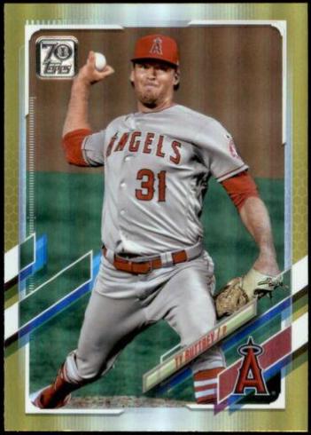 Ty Buttrey [Gold Foil] #363