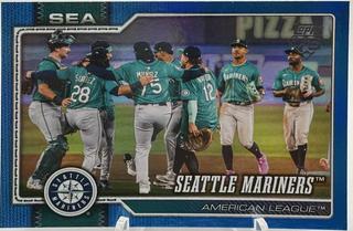 Team Card