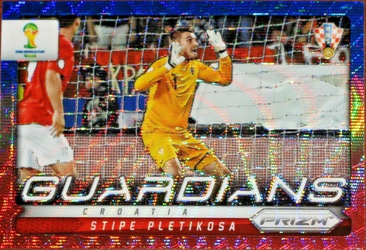 Stipe Pletikosa [Blue Prizm] #14