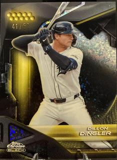 Dillon Dingler