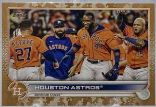 Houston Astros