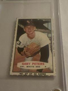 Gary Peters