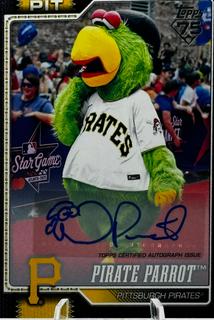 Pirate Parrot