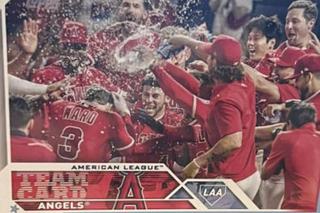 Los Angeles Angels