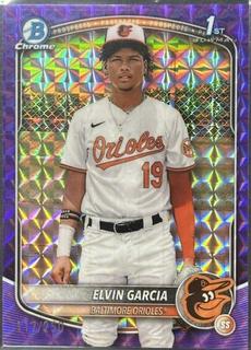 Elvin Garcia