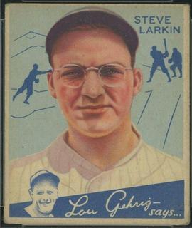 Steve Larkin